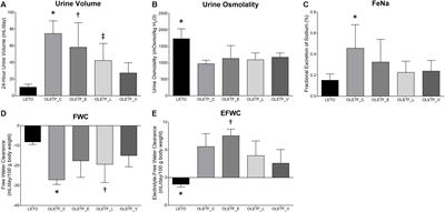 Empagliflozin Contributes to Polyuria via Regulation of Sodium Transporters and Water Channels in Diabetic Rat Kidneys